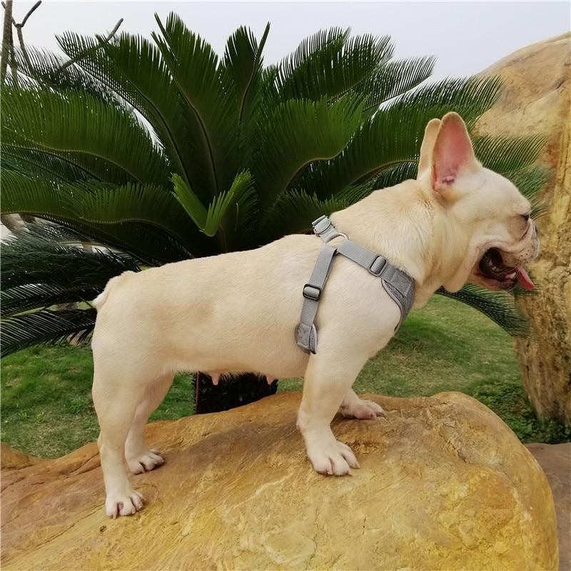 Grey French Bulldog No pull Harness - side view