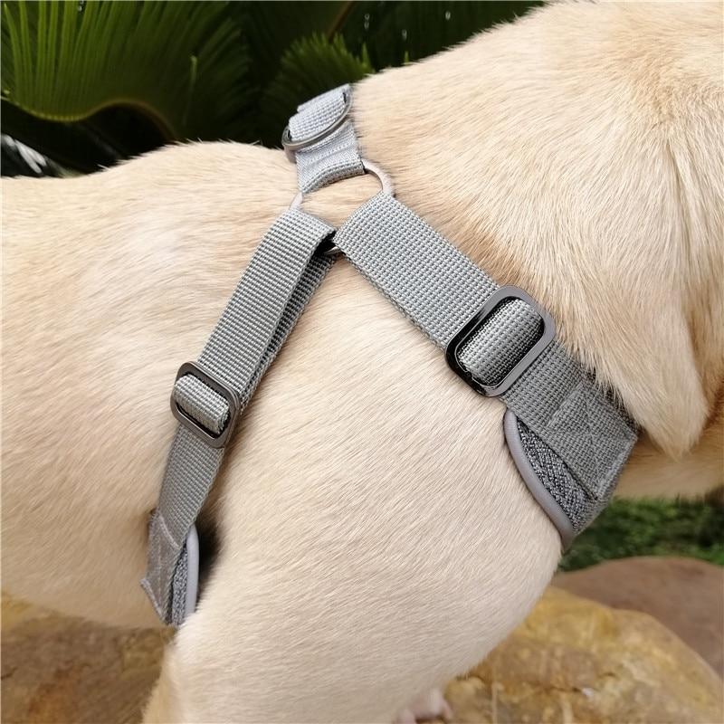 Grey French Bulldog No pull Harness - side view