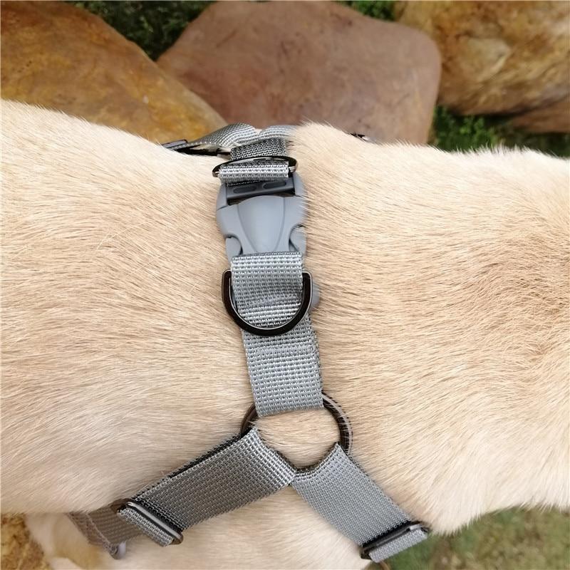French Bulldog No pull Harness- side view
