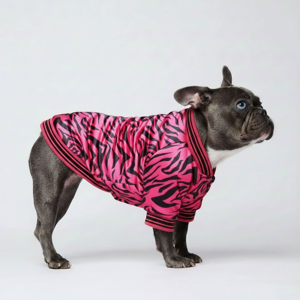 Zebra Print French Bulldog Jacket, Zebra Print French Bulldog Cardigan