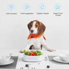 Antimicrobial Anti-skid French bulldog pet bowl