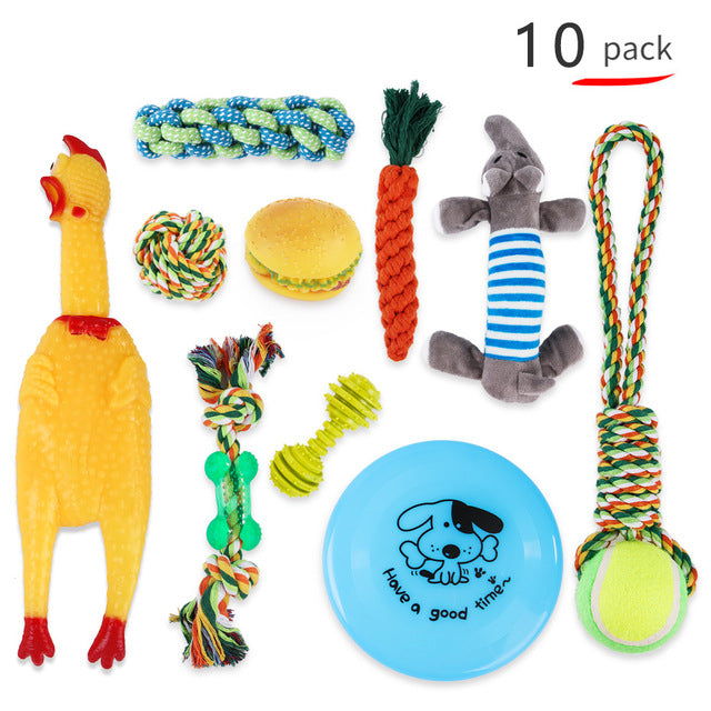 Puppy Starter Pack Selection Of Toys Gift Hamper - pack of 10