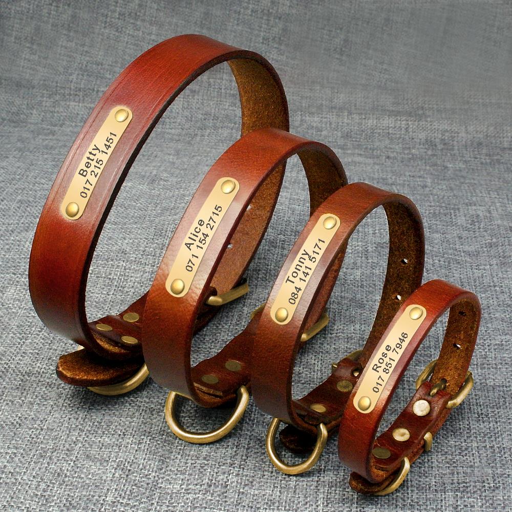Genuine leather French bulldog collar, available in variety of sizes
