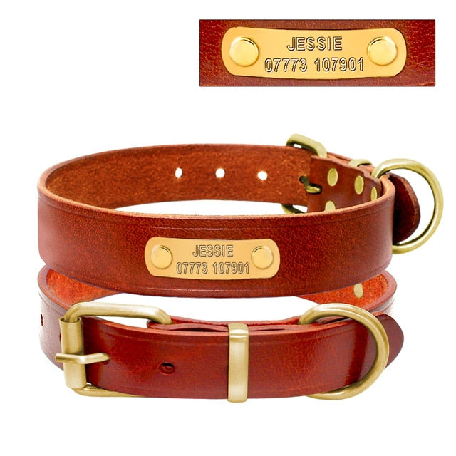 Genuine leather French bulldog collar, available in variety of sizes