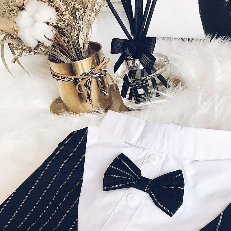 French Bulldog Wedding Clothing, French Bulldog Tuxedo