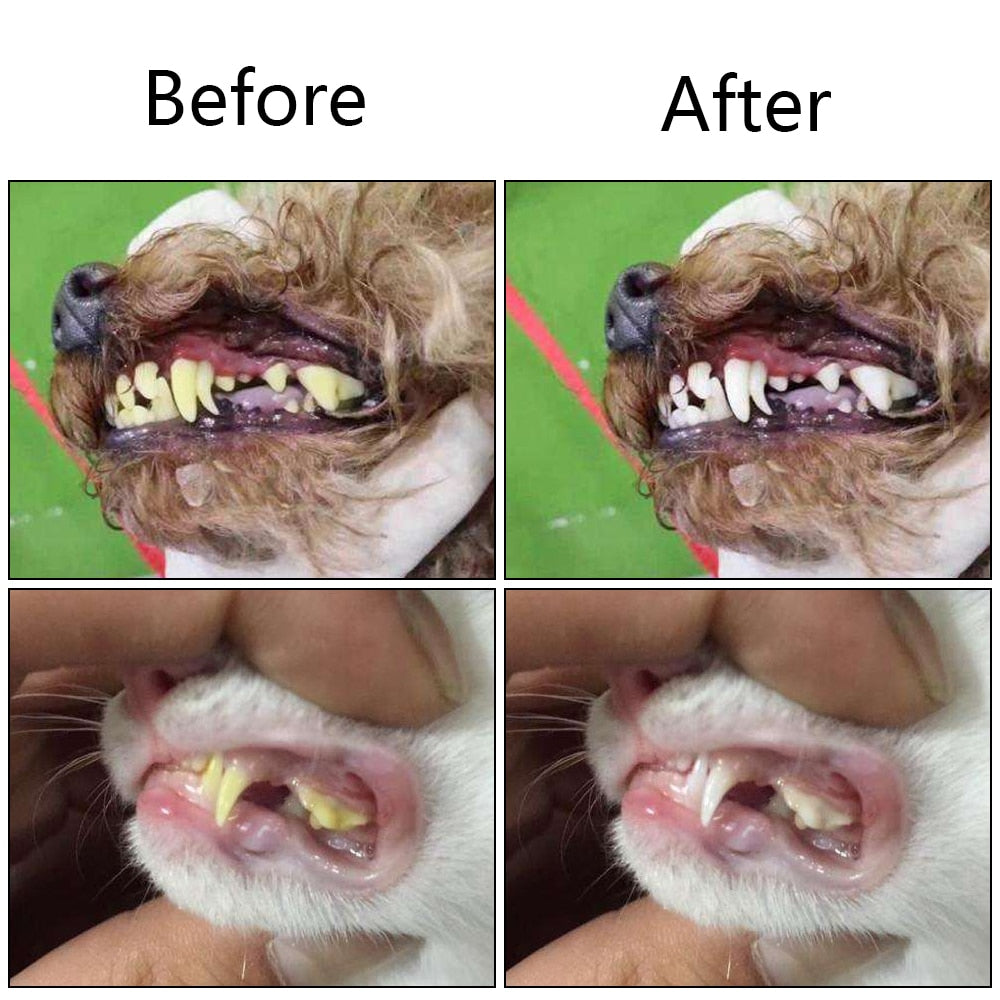 Dog toothbrush use - before and after picture, dog teeth cleaning, removing tartar off dogs teeth