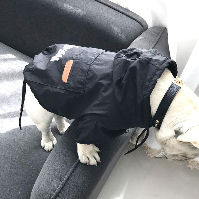 French bulldog Raincoat black Colour 