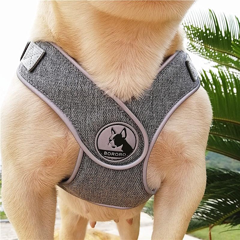 Grey French Bulldog No pull Harness front view