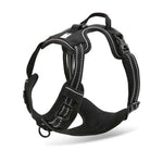 Black reflective French Bulldog walking harness