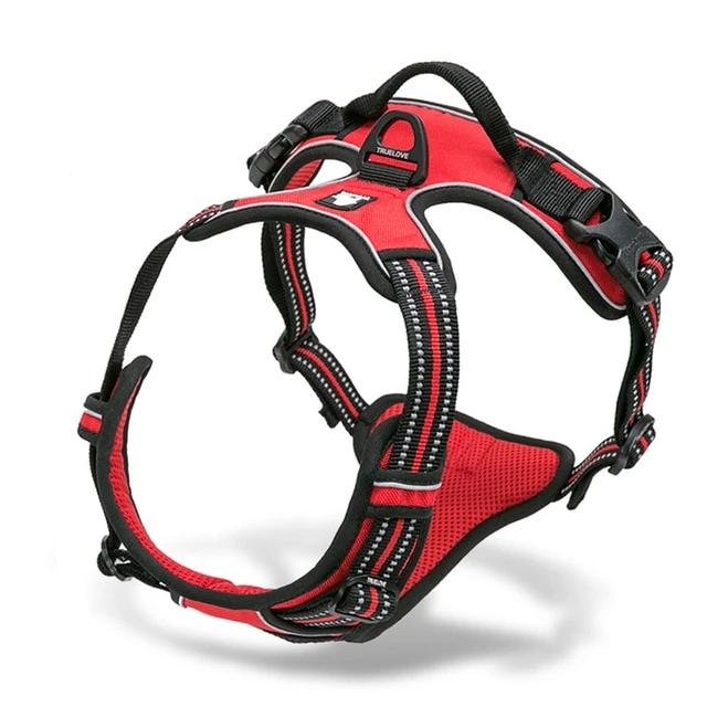 Reflective French Bulldog walking harness detail