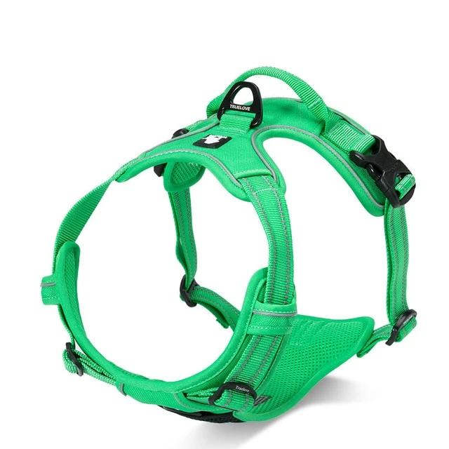 Green reflective French Bulldog walking harness