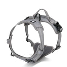 Grey reflective French Bulldog walking harness