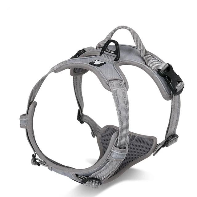 Grey reflective French Bulldog walking harness
