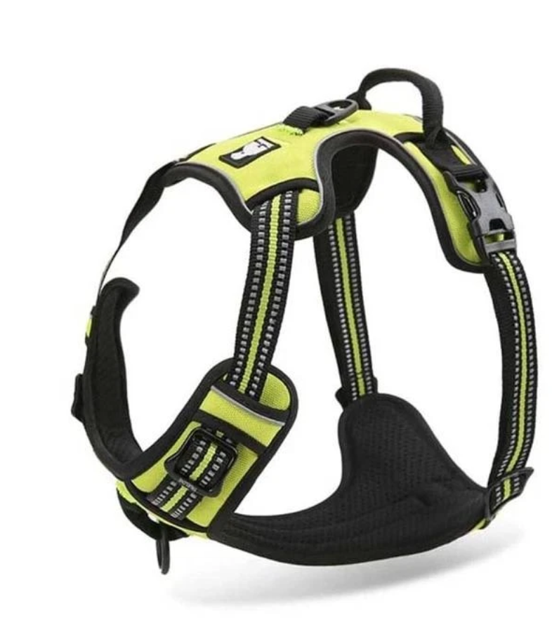 Neon yellow reflective French Bulldog walking harness
