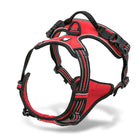 Reflective French Bulldog walking harness product view