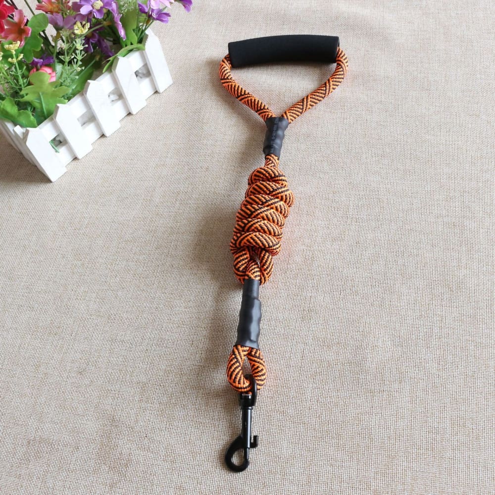 Reflective Leash Dog Lead With Handle - Orange - Dog Leash
