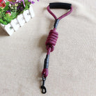 Reflective Leash Dog Lead With Handle - Pink - Dog Leash