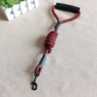 Reflective Leash Dog Lead With Handle - Red - Dog Leash