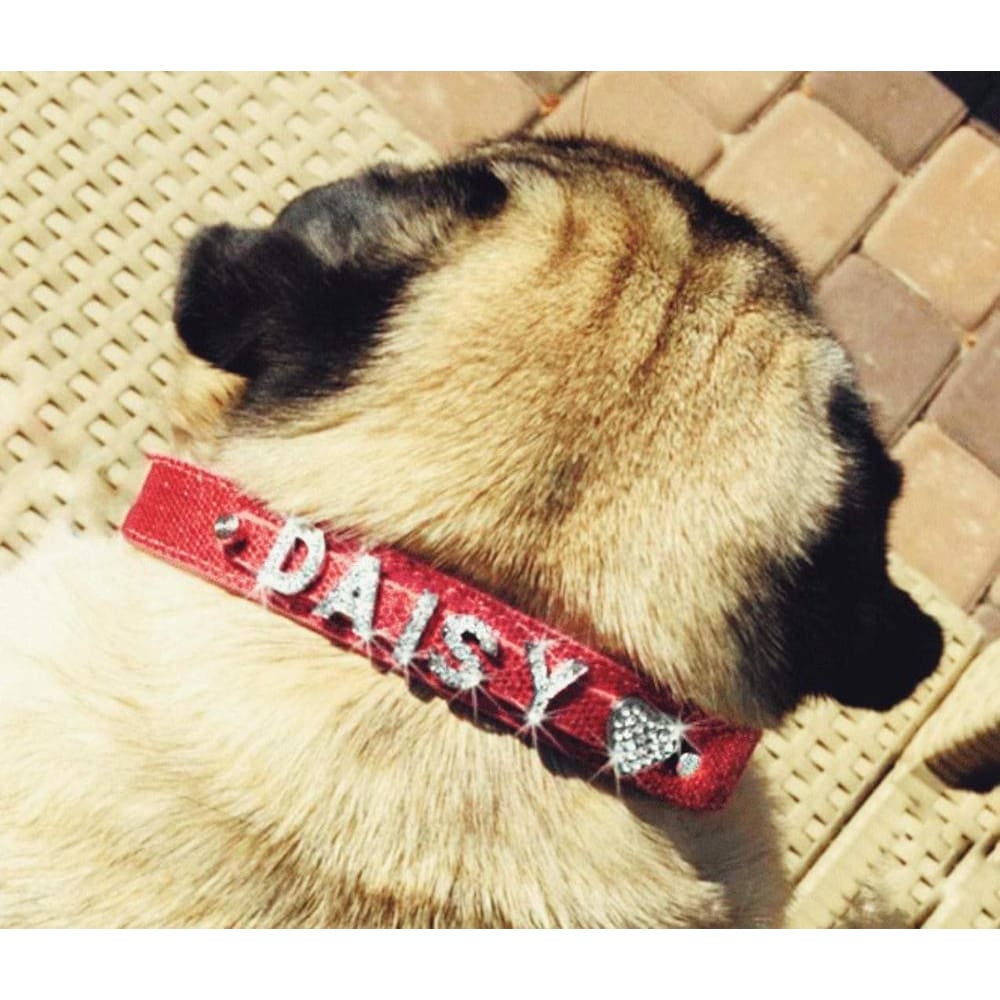 Roxy Diamante Name Charm Small Dog Collar - Dog Collar