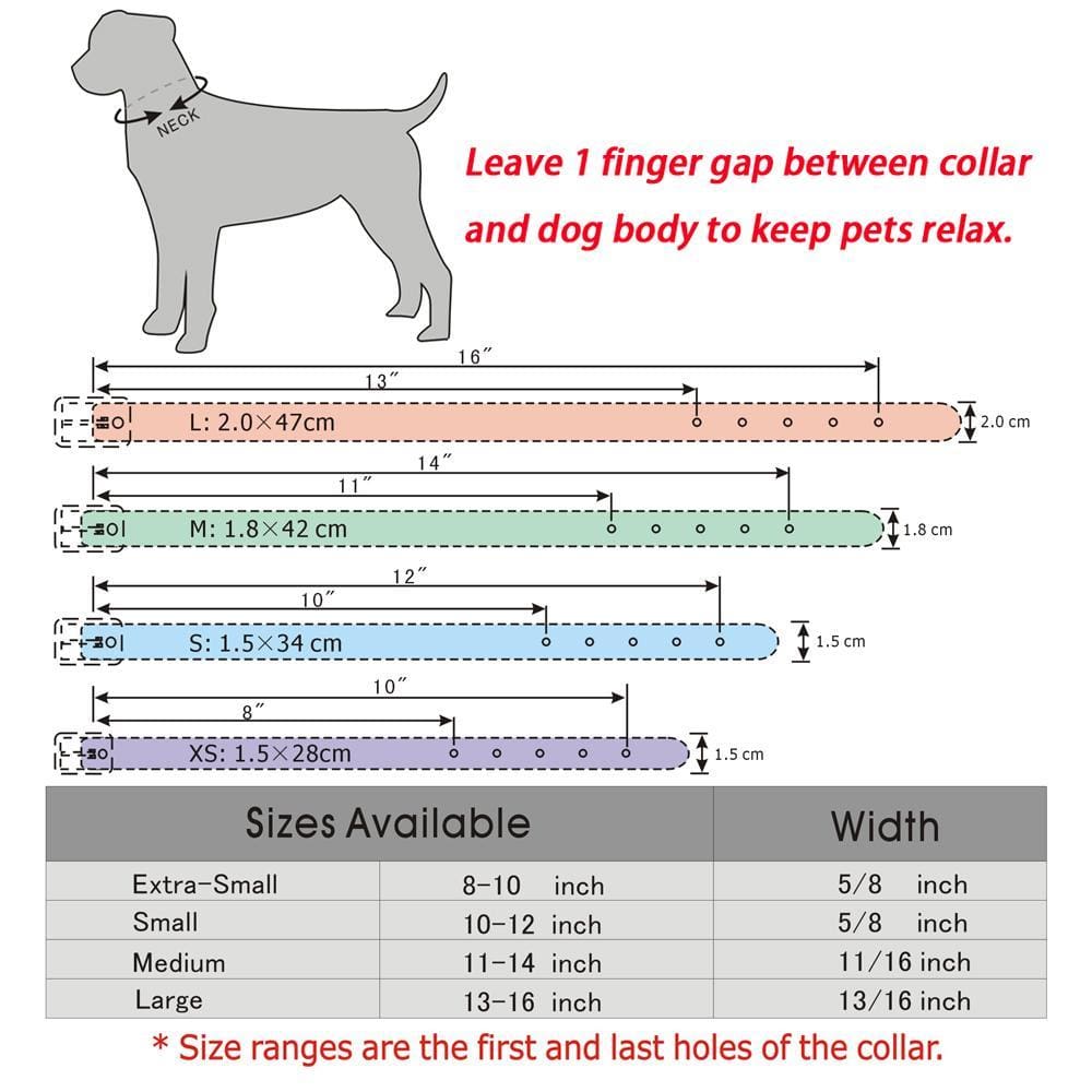 Roxy Diamante Name Charm Small Dog Collar - Dog Collar