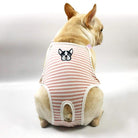 French Bulldog Sanitary Pants 