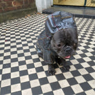 Tartan French Bulldog raincoat product view